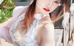 高N车多肉公交车